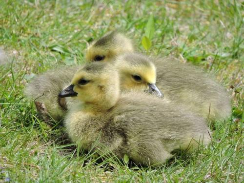 EF45BCCE-31BE-4AEF-A0B3-45BB258C5B57