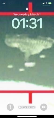 47852947-B5FA-4FD2-88C5-5868D29E4244