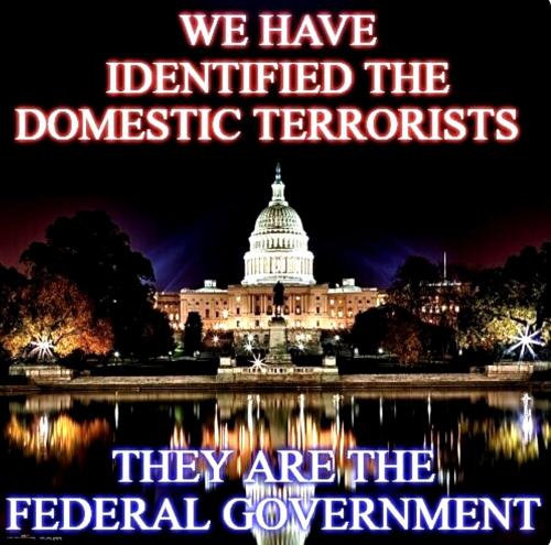 Domestic Terrirists of America