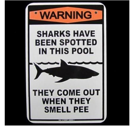 Shark -- Do NOT Pee in the Pool