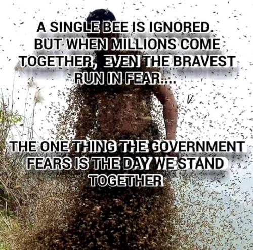 A Single Bee is Ignored