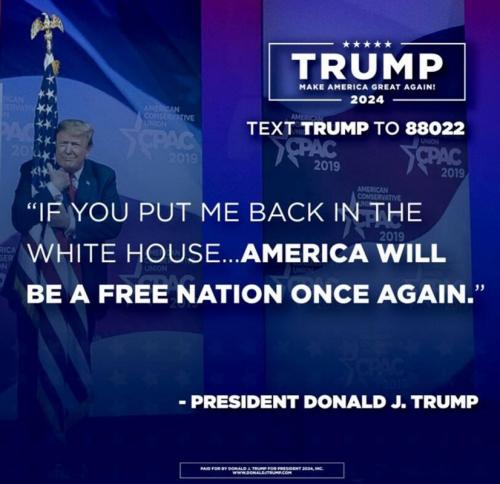 M Trump 2024