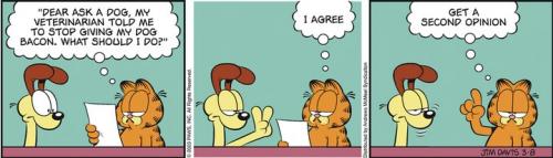 Screenshot 2023-03-08 at 07-37-33 Garfield by Jim Davis for March 08 2023 GoComics