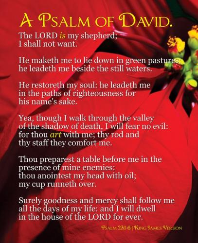 IMG_20230328_062948_221