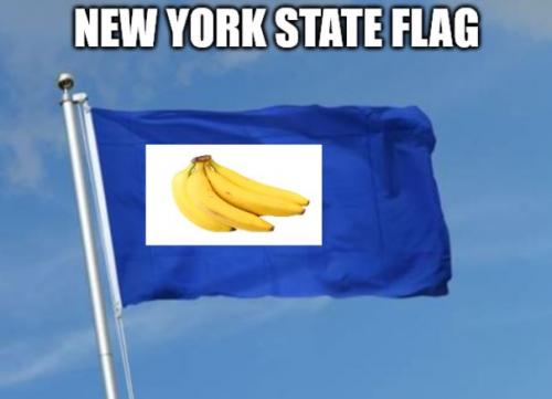 bidennewyorkstaeflag