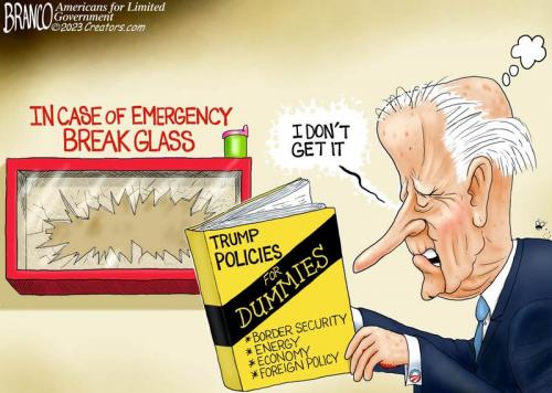 BRANCO FOR DUMMIES