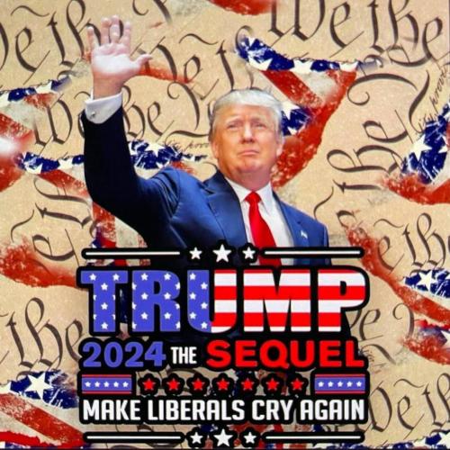 Trump 2024 (2)