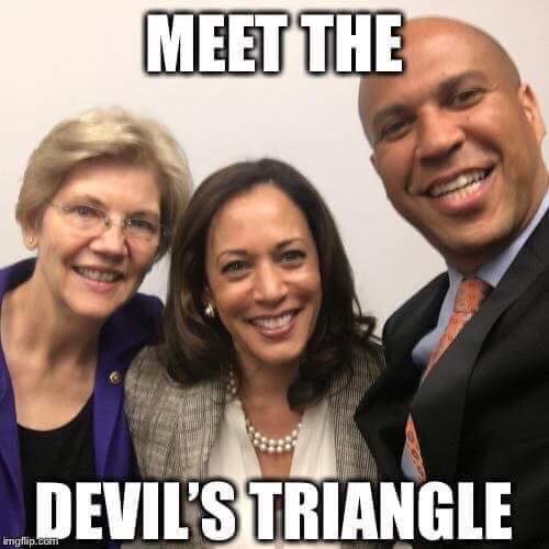 43255923_2016002208477438_7832061567939117056_n