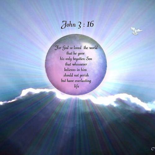 IMG_20230331_102634_486