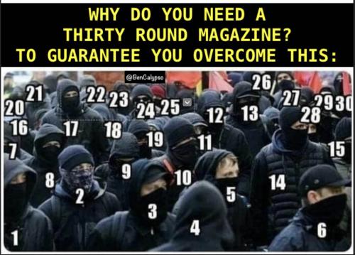 need 30 round mag