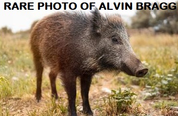 Alvin Bragg