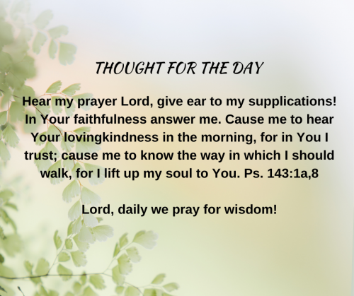 TWEET 3-20-23