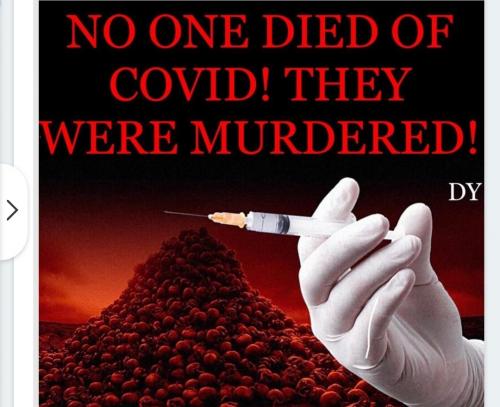 Screenshot_20230305_174604_Brave