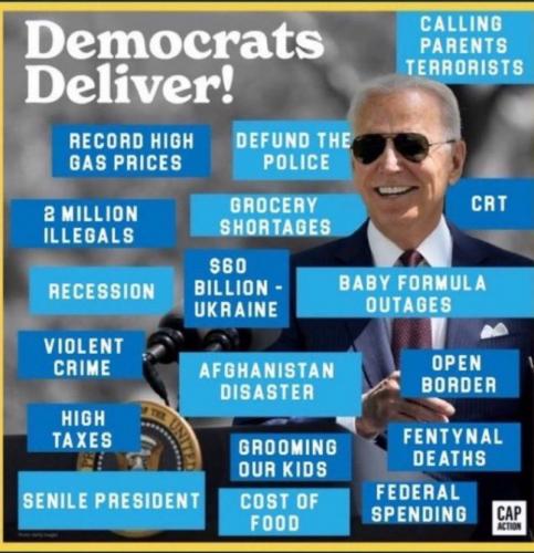 Democrats are idiots