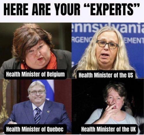 031223 - Here are your experts