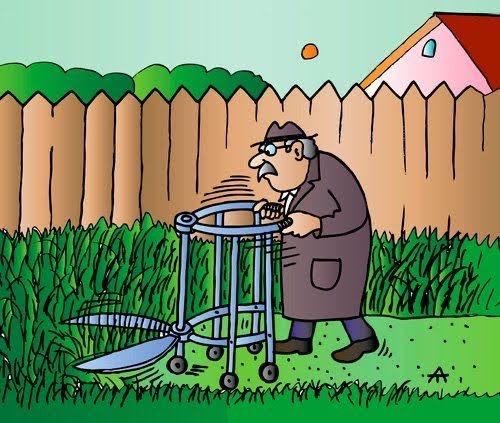 Old Man with walker cut Lawn