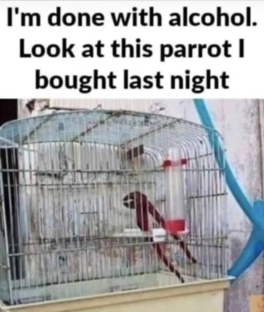 maga_c18224c00bf7ab53f365577bfc5c2ffd