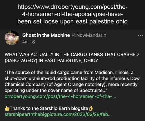east Palestine 17