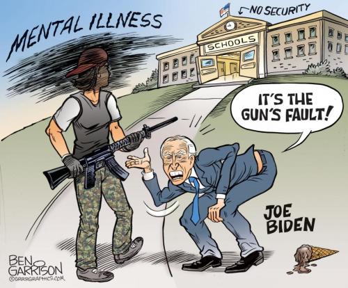 LiberalsNoSecuritySchoolsMentalillness