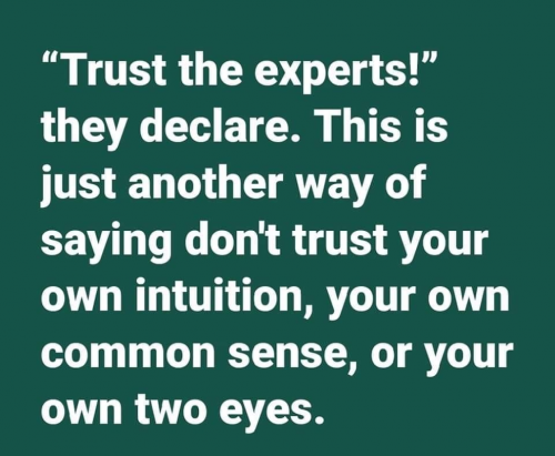 M Trust experts