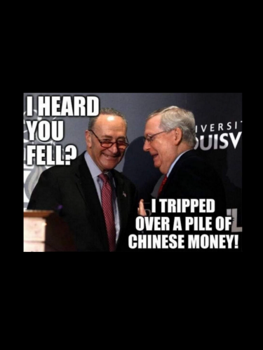 15E74B8F-B211-4B36-8B5A-FC1B947B7908