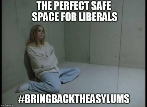 Liberal, Mental Hospital, Asylum, Institution -- Safe Space
