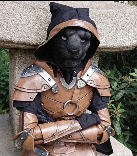 5B74AB99-5F65-4D8B-8068-2AE232464CE7