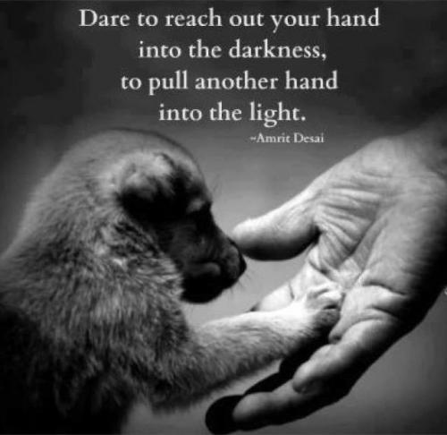 Reach your hand - Pull another hand