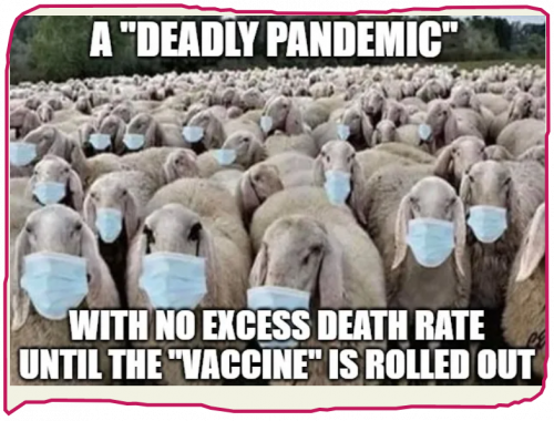 snapshot_carsonmcauley.substack.com_1678559736991