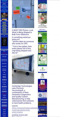 Screenshot_20230322_034513_Brave