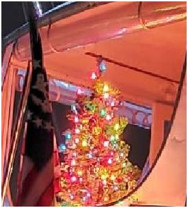 ss1atseamerrychritmascu