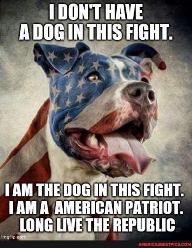 RO Dog fight
