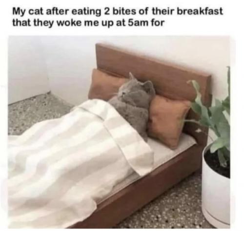 tumblr_d917227a43e7c7c8bb678c6404f0aa45_cfa07a92_640