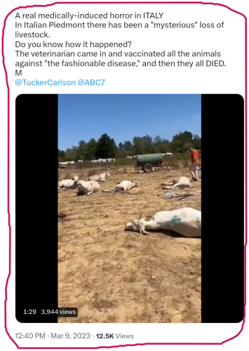 snapshot_mobile.twitter.com_1678469454655