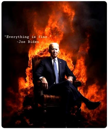 Joe Biden ~Everything is Fine~