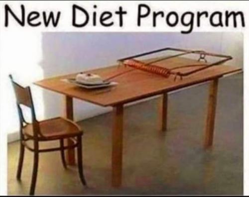 338725027_1777738269287026_2481435912919795552_n