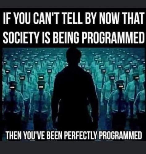 329437867_1192209394989879_5664100250287058758_n