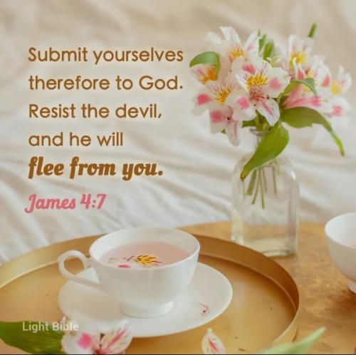 Screenshot_20230305-205737_ King James Bible~2