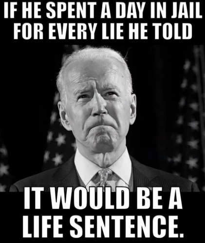 Life Sentence   (maga)