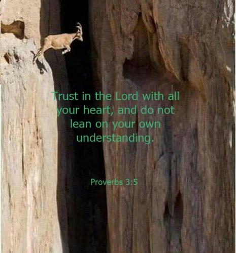 Trust in the Lord