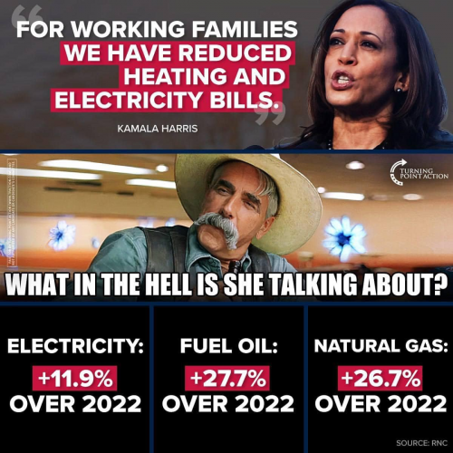 M Kamala