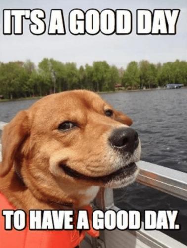 It's a Good Day
