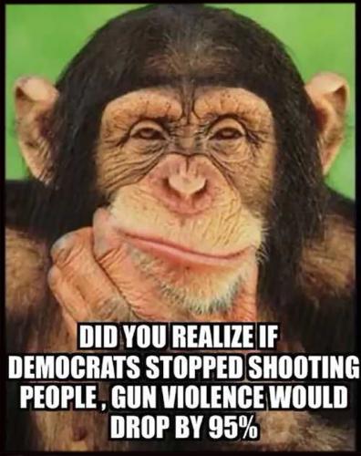 USA dems shooting