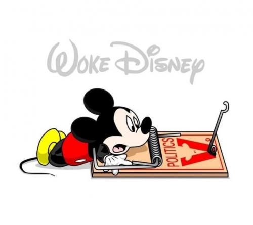 RO Woke Disney