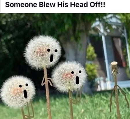 70755195_3210074339032528_1019027698745344000_n