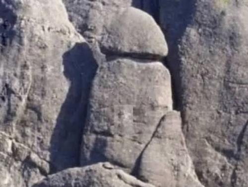 dick