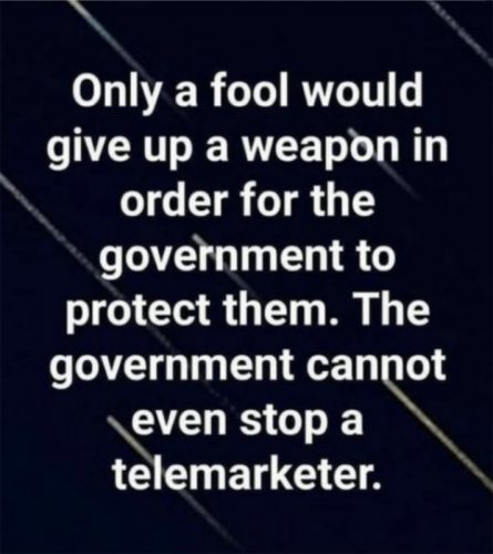 A fool