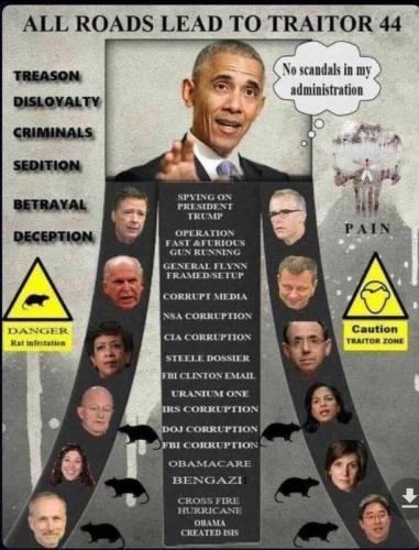 USA traitor 44
