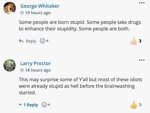 comments on stupid