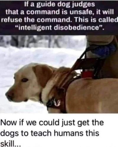 336537801_728364188838613_7045890050042605487_n